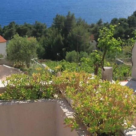 Ivan Dolac 8734d * Jelsa (Hvar)